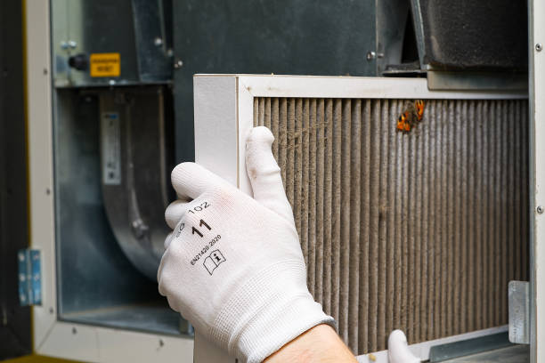 Best Local Air Duct Cleaning Services  in Duncanville, TX